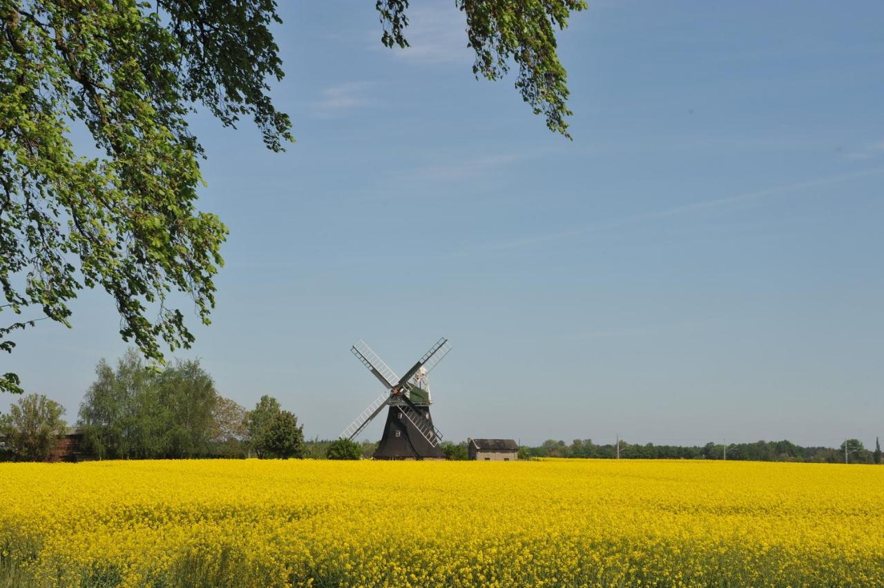 Ostsee-Ferienhaus Im Gruenen Klockenhagen 외부 사진