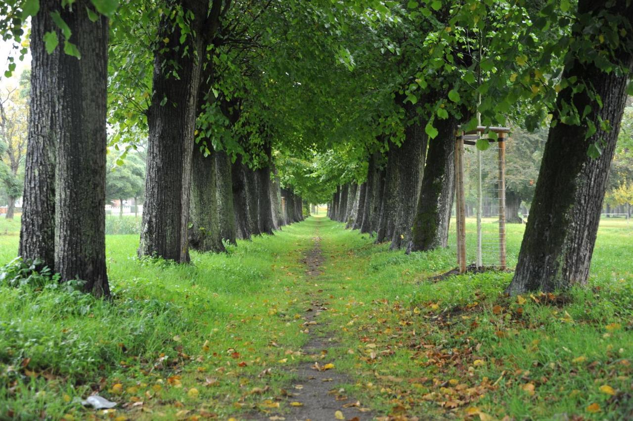 Ostsee-Ferienhaus Im Gruenen Klockenhagen 외부 사진
